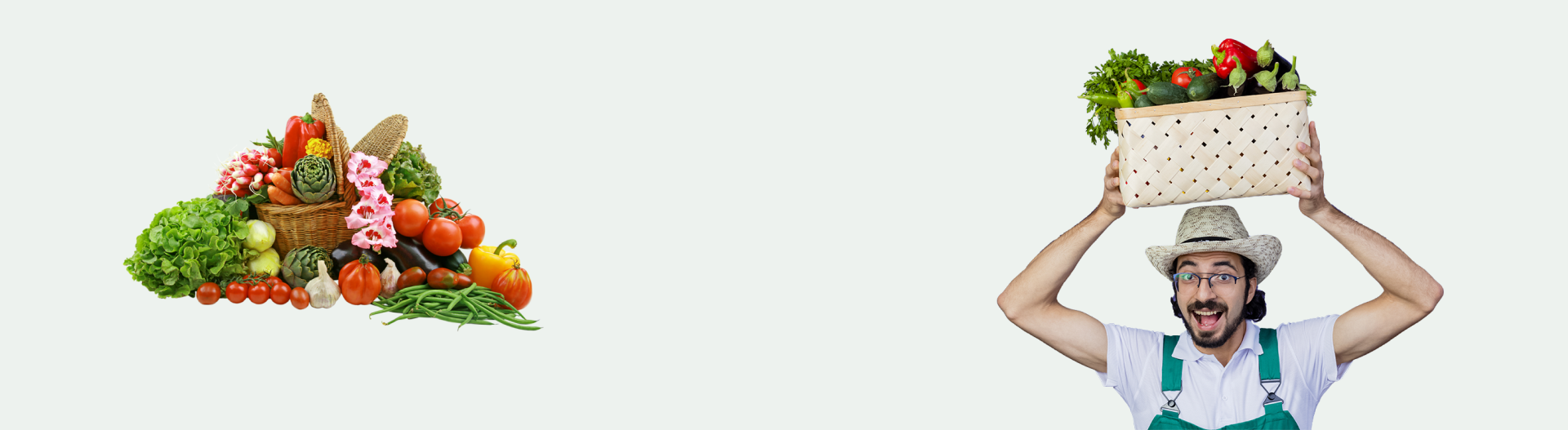 imagen banner